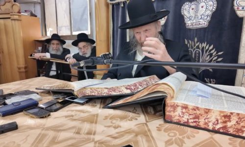 הרב דן סגל