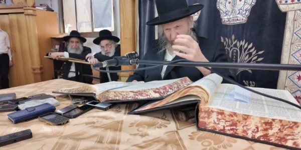 הרב דן סגל