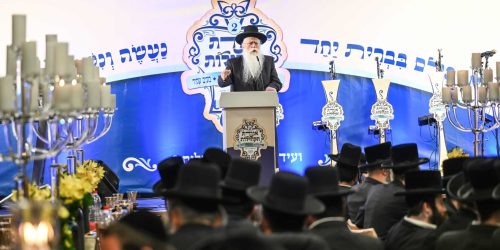 ח"כ פרוש   צילום: משה גולדשטיין