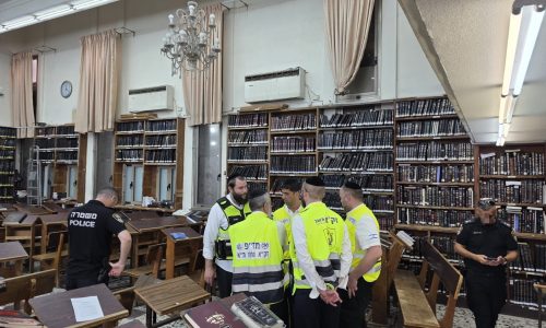 קרדיט: זק"א
