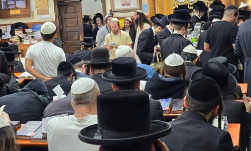 צילום: ברוך שולביץ