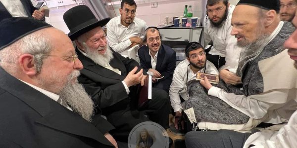 צילום: דוד שדה