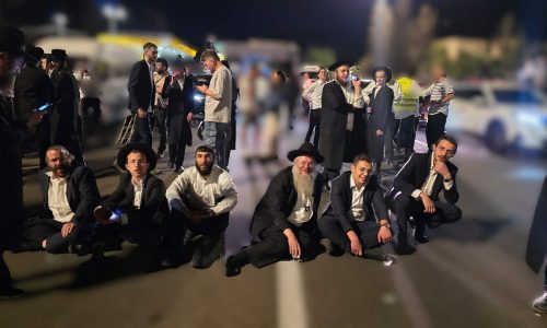 צילום: DOOVIDL