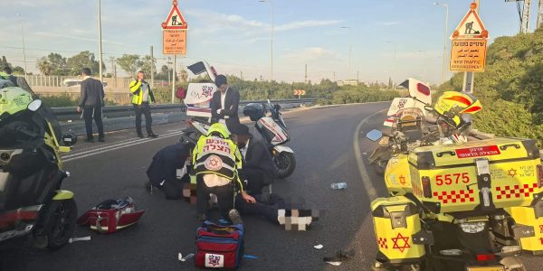 הדריסה במחלף גנות - דוברות הצלה • מרחב איילון