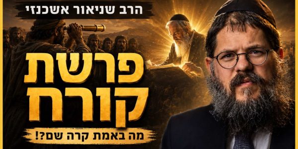הרב שניאור אשכנזי