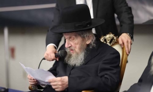 צילום: דניאל נפוסי ואלי קובין