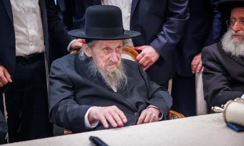 צילום: דניאל נפוסי