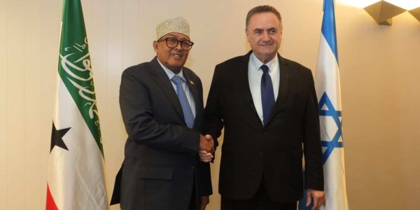 השר כ"ץ ונשיא סומלילנד   צילום: אריאל חרמוני/ דוברות משרד הביטחון