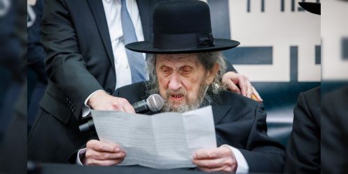 צילום: אלי קובין, דניאל נפוסי