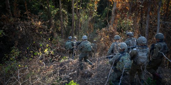 צה"ל פועל באזור הליטאני  צילום: דו"צ