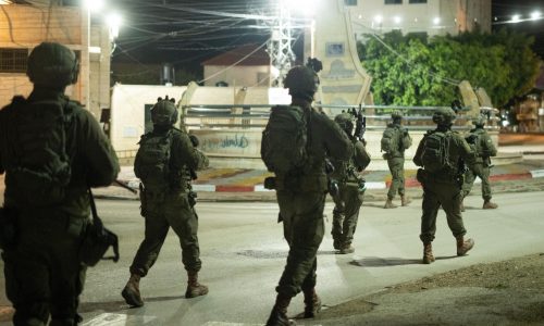 כוחות ביהודה ושומרון  צילום: דו"צ