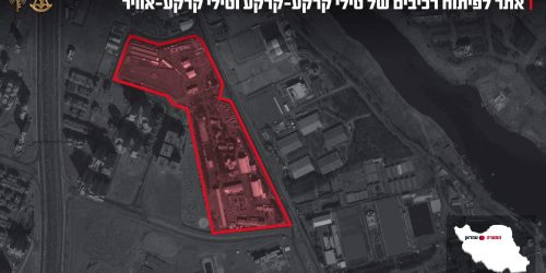 WhatsApp_Image_2026-03-03_at_13.18.04