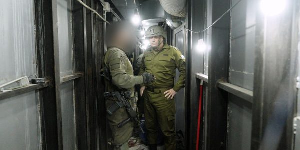 קרדיט: דו"צ
