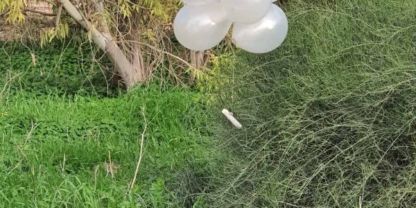 זר בלונים בשטח פתוח בתחום המועצה האזורית אשכול 16 בינואר 2020 (צילום: דוברות המשטרה,