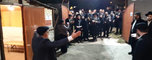 a7ea11a8-8151-4a3c-b2a4-f002e44e378c