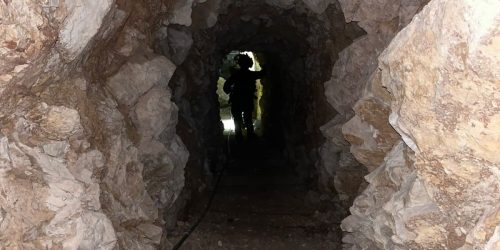 קרדיט: דו"צ