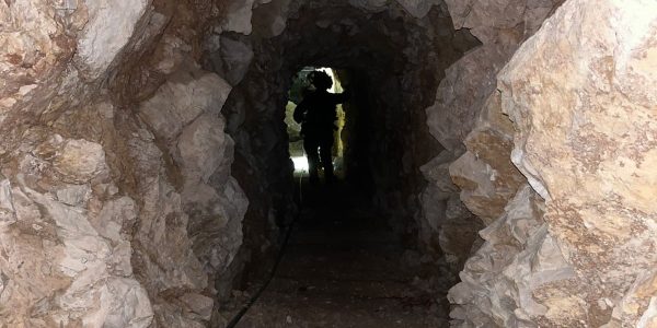 קרדיט: דו"צ