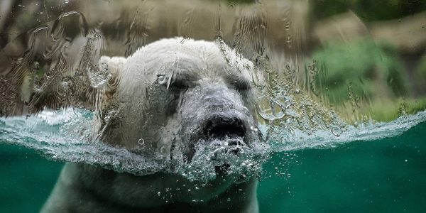 צילום אילוסטרציה: Pixabay