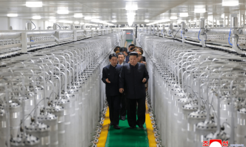 צילום: סוכנות הידיעות הממלכתית הקוריאנית (KCNA)
