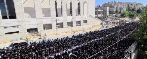 חופת נכד האדמור מגור | צילום: יוני קניג