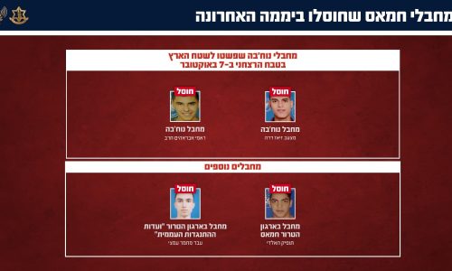 d86020be-126f-4bfb-a5e0-e4cc3f0a7b8b