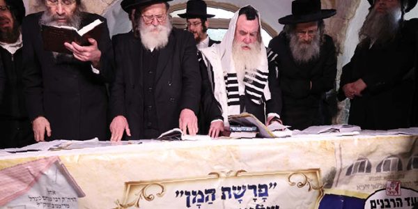 img-e8cfcbf1-9af0-465b-8b12-7561a7b52ce9 (1)