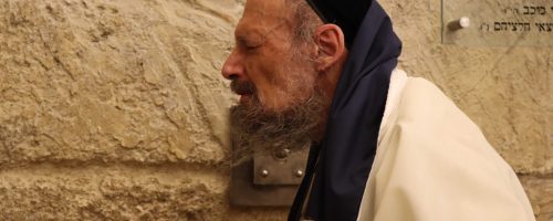 רבי דב קוק בתפילה בכותל המערבי// צילום: אלימלך יונה, המחדש