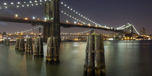 צילום: 토마스 정 from Pixabay