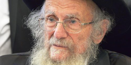 הגה"צ רבי יעקב אדלשטיין זצ"ל. צילום: בעריש פילמר