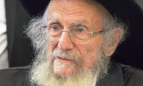 הגה"צ רבי יעקב אדלשטיין זצ"ל. צילום: בעריש פילמר