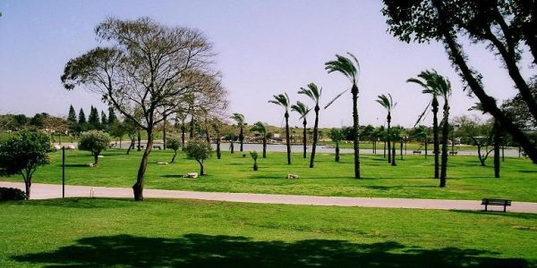 פארק דרום (ויקיפדיה)