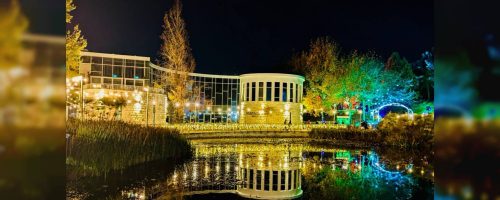 photo_2024-12-10_22-52-11