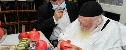 מרן הגר"ח אתמול בהכנות לחג צילום שוקי לרר