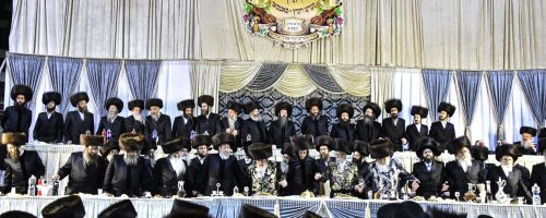 resized_DSC_2150-113