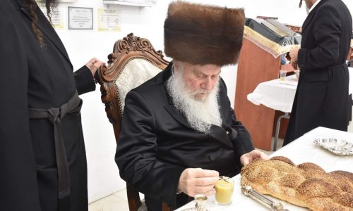 צילום: יהודה פרקוביץ'