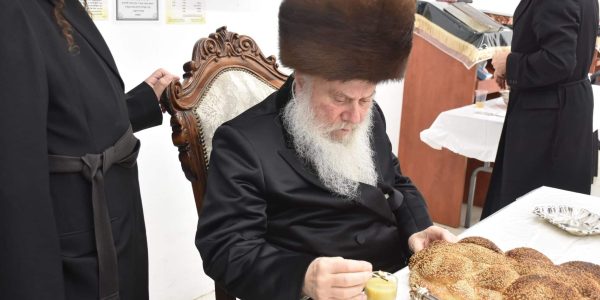 צילום: יהודה פרקוביץ'