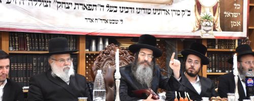 צילום: יהודה פרקוביץ