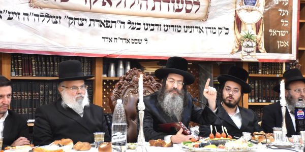 צילום: יהודה פרקוביץ