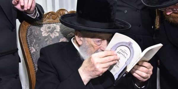 צילום שוקי לרר