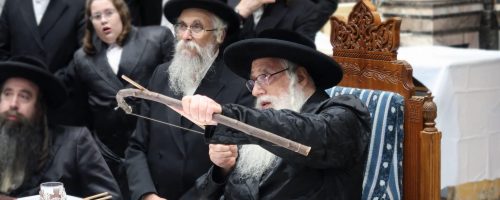 resized_במנהג-חץ-וקשת-צילום-א.א-1