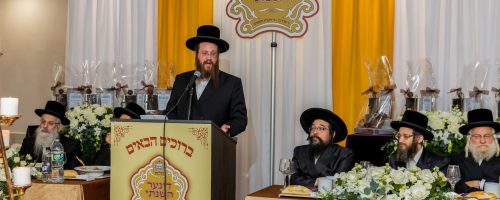 resized_דינר לטובת ת''ת דרכי אבות צאנז מאנסי - הרב דוד מאשינסקי שליט''א מנהל הת''ת