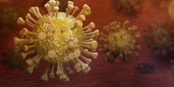 וירוס קורונה