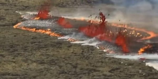 ssstwitter-com_1689039009730-mp4-1