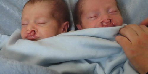 vaad-ha-rabbanim-1773940273895