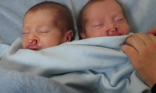 vaad-ha-rabbanim-1773940273895