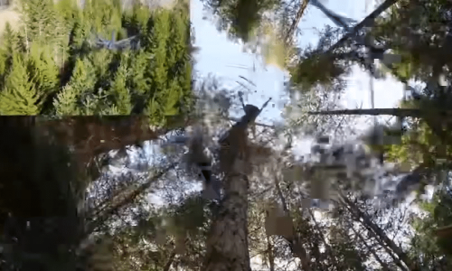 videoframe_2154