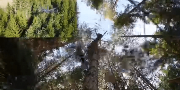 videoframe_2154