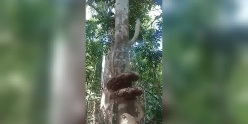 videoframe_2567