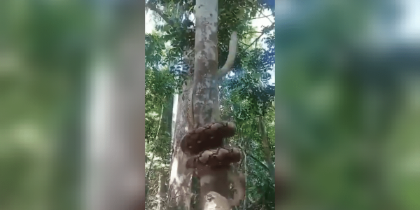 videoframe_2567