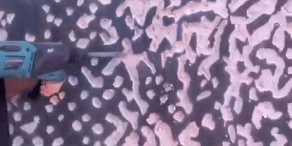 videoframe_3286